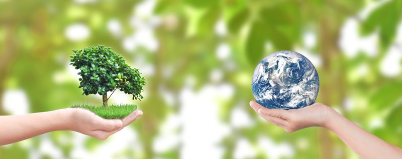 Nature et technologie en harmonie